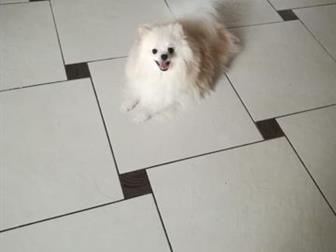 �������� �����,  �������� 4, 08, 19 � 5, 08, 19,  ���� �������� � �������,  �����  ��������� ���� , � �������  ���� � ����-������,  ������,  �� ����� �����������, � ������������