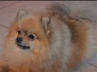 ������ � ������� ���� ���������, ������,  ������� 4 ���� � �����������,  ������ � ����� ���������� �������� � ������, � ������������