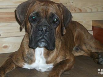 ��������� ������ ��������� ������, ��������, 2 ��� 7 ������� � ������������