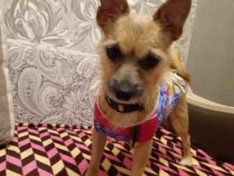 ���� ��� ��� ��������� ������� 4� ���, � ������ ��������,� ������� ����� ���� ����� �������������,������  ����� ����,�����  ������, �������-���������,��������� ��������� � ������������