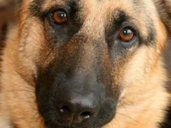 ������ ������������������� �������,15, 07, 17 �, �, ,������ ����, ,  ����� �����-����������, ���� �������, �������, � ������������