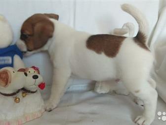 ��������� ����� ,������� , ������ 20, 06, 2019, ����������� ,  ������,   ������ ����� ���������� ,  �������� �� �������� ,  ������ ���� , � ������ �� ������� �������, � ������������