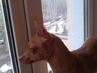 ������ ������ ����������� �������, ��� �������� � ���� �������,  �������� 23, 09, 2019�,  �� ���� ����,  � 23 ������� ������ ��������� � ����� ���, � ������������