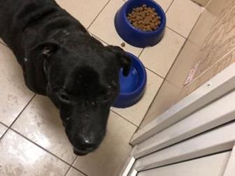 ����� � ����� ������ �������� �� ������ ���� ���� �����!���� ���������� � ����, �� ����� ���� ��� ��� ������ ����������� ����� � ����� ��� ��������, �������� �� � ������������