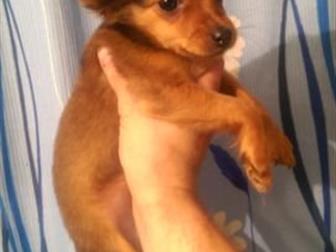 ������ ����� ����������,����� ���������,������ ����,������� ������� ����,,����� �������,�� �������� ���� �� ������� ���� � ������������