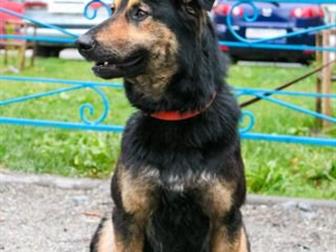 ��������������� ������� ,����� ,7 ������� ,�� ������ ����, � ������������