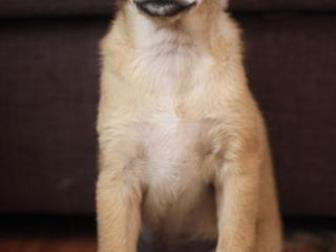 �����-������� ����� ������ � �������� 3-� �������  ����� �������, ��������, �������,  ����� ������� ��������,  ������ ��� ��������� �  ��������  �������,  ������ � ������������