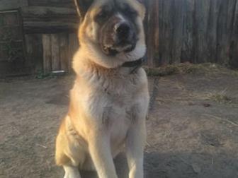 ������� ������������ �����, ���� ���� �������,  ��������� �� �������, � ������������