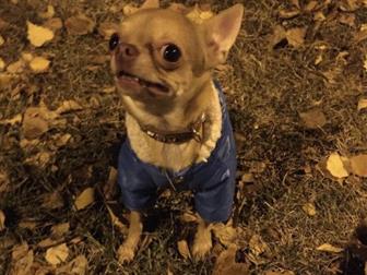 ������������ ������������� ����� ������� ��� �����,  �������: 5 ���, ��� 2 ��, ����� 6*6,  ��������: ����-���������� ��, ����-�������� ��,  ���������� ����� �������� � ������������