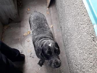 ����� ������ � ������ ����, ����� ������ ������� �� �������� �� ������ ��� ������� ������ ����, �� ����� ��������� � ���, ����� ��� ������ ���� � ���� ����� ������, � ������������