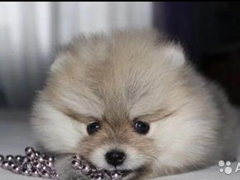 ��������� ����� ������������ �����  �������� ���, ����� ������ �������� ������, ������� �����, ������ �����, ����� 6�6, �������� �� ��������,  ��������� �� �������, � ������������