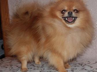 ��������� ����������  ������� 14 ���,  ���� ��������� - 19��,  ��� 2,1,  ����� ����� � �������� �����������,  ������-�������,  ������� ����, �������� ������,  ����������, � ������������