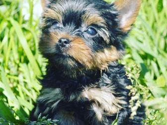 ���������� �������������� ������ ,������ ����������� ������ �, �17, 08, 2019 ����� ������� � �������� ����� 22, 10 � ������ ������� ���������� ��� ,������� ,����� � ������������