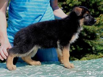 ������ �� ����� �������� ������, �������� ������, �������� ���, ����� �������� ���,����� ���������� ���,  HD,  ED-a-normal,  ���1, ��������� �������� �� �������������� � ������������