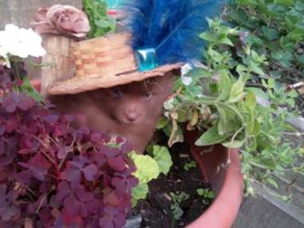 �������� ������� � ����� ����, ���������� ���������, �������� ����, ����� ��������������, ������ ������� ��������� ��������, �������, ������ ��� � ������������