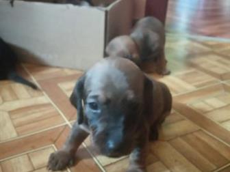 ����� ����� � ������������