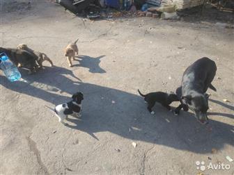 1 ������ ����� , � 3 ����� � ������������