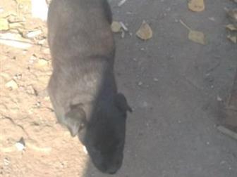 1 ������ ����� , � 3 ����� � ������������