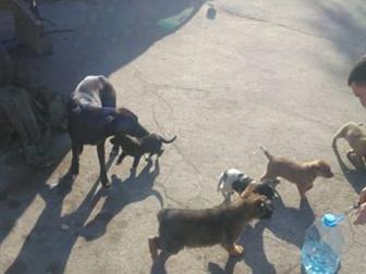 1 ������ ����� , � 3 ����� � ������������