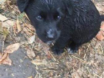 ������� ����� ����� ���!!! ����� �� ������ �������� ������ � �����,  ������� �������� 1,5 ���, � ������������