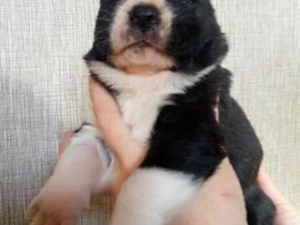 ������������ ��� �������������� � ���������� ������������ ��� �,  �,  25 �������� 2019������ �� ����� ���� ������� �����,���� ������� �����,�1* ����� ���� ������� � ������������