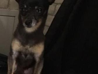 ����� ������ � ������ ���� �� ��������� ��������������, ������� (�� ��������������), ����������� (���� ���������), �������� (10 ���), ������ ������ � ������� ���������, � ������������