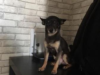 ����� ������ � ������ ���� �� ��������� ��������������, ������� (�� ��������������), ����������� (���� ���������), �������� (10 ���), ������ ������ � ������� ���������, � ������������