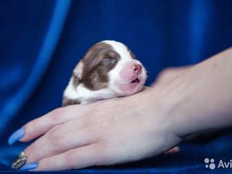 ������������� ������� ��� ��������� ���� ����� �������� �������� ��� �� ������ ��� ���������� �������� �������� ������ �����: ������ ����� ����������, ������������������� � ������������