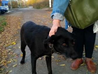 ������ ���� ������������� ������, , ,  �������� �� �������� ������ ������� ������� �� ����,  ������ ��� ������� � ��� ������� ������������� �� ������� ��������, � ������������