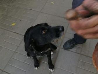 ������ ���� ������������� ������, , ,  �������� �� �������� ������ ������� ������� �� ����,  ������ ��� ������� � ��� ������� ������������� �� ������� ��������, � ������������