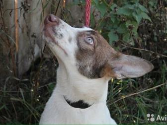 ����� � �������� ������� ,���������,  �������� ������ � �����,  ��� �� ����������! � ������������