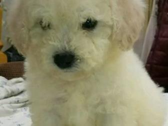 �������� �������!3 ���, �������,��� �������,�������� �� ������, ������ �������� ���, ������������, ����� �����������, ����� �����! �����-����������� �������! ������ � ������������