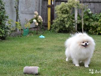 ����� ������������� ������� ������! ���������� ����� �������� �����,  ������������ ����������� ������ ��� �����,  ���� 22 �� � �����,  ����� ��������� �����,  ����������� � ������������