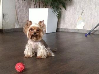 � ����� � ���������������� ��������� ���������: ��������� ������, 6 ���, ����� (���� 1,2),  � �������� �����������,  ��� JERICHO DU GALOP DU GLOBE, ������ �����, � ������������