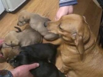 ��� �������! �������� 13, 10, 19,   � ��� �� ����������! ����� �� �������! � ������������