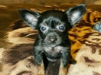 ��������� � ������� ����� ��������������� ���� ���-�������,  ������� ����� � ������, ������� ������ � ��������,  ����� ������ � �����������,  �/� 7 �������,  �� � ������������