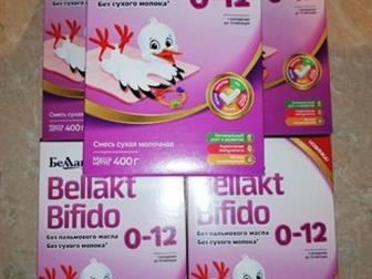 Bellakt Bifido 0-12     :   