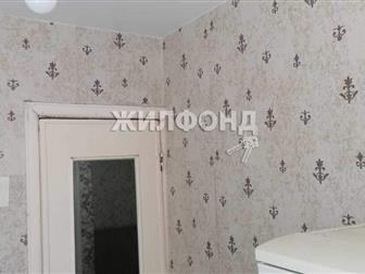 2 ,    ,   ,   : 42, 10 , ,  
 
     ! ! 
2-  ,     