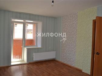 1 ,    ,  ,   : 38, 50 , ,  
 
       ,  38, 5 , ,     