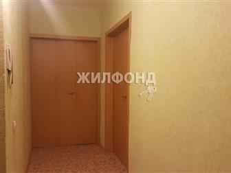2 ,    ,   ,   : 61, 80 , ,  
 
  2-        ,    