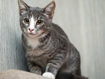      ,  ,  4 ,    ,   , ,   ,    , ,  