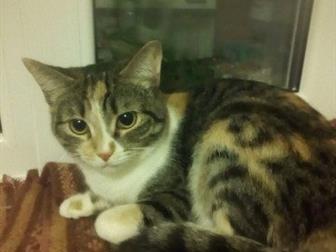    ,   2 , ,   ,   ,       ,  