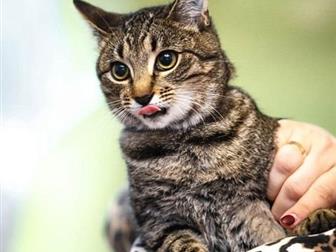        ??,    8 ,  , , ,  ,     ,   