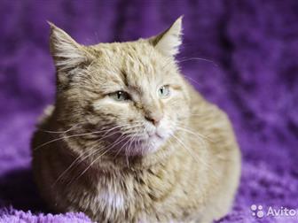  ,    6 ,  ,   ,  , ,   ,     -      