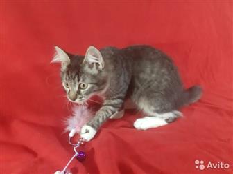 , ,           ,             -   