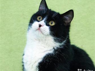     !    !   ,      ,     ! 7,  