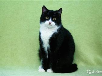     !    !   ,      ,     ! 7,  