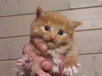 , , ,       ,  , , , ,   ?     ,     