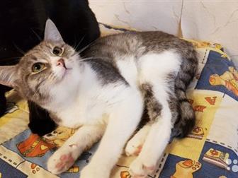          7 ,       ,    ,    ,     