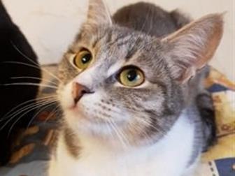          7 ,       ,    ,    ,     